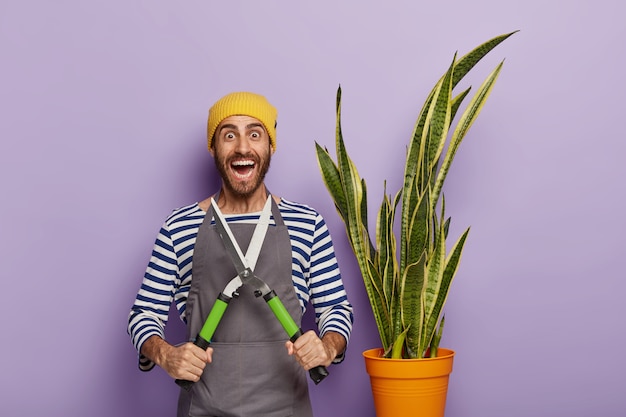 Free photo horizontal shot of optimistic professional florist cares about indoor potted plant, holds pruning shears