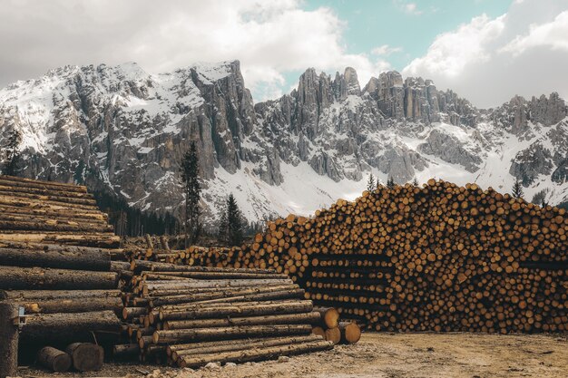 Horizontal shot of a pile of firewood logs with rocky mountains covered in snow