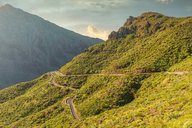 스페인에 위치한 테네리페 섬의 아름다운 녹색 산에 있는 도로의 수평 샷