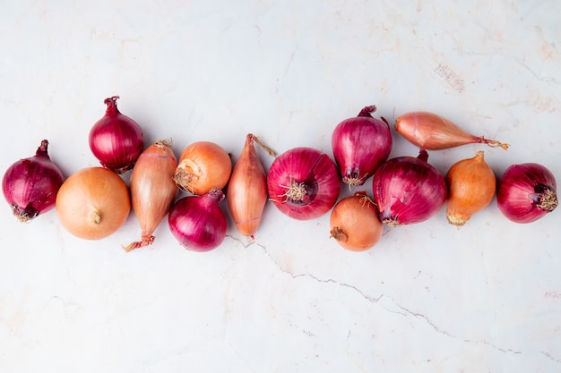 Free photo horizontal view of onions on white background with copy space