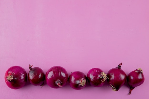Horizontal view of red onions on purple background with copy space