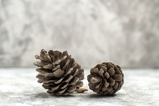 Horizontal view of two small and big conifer cones lying on white background
