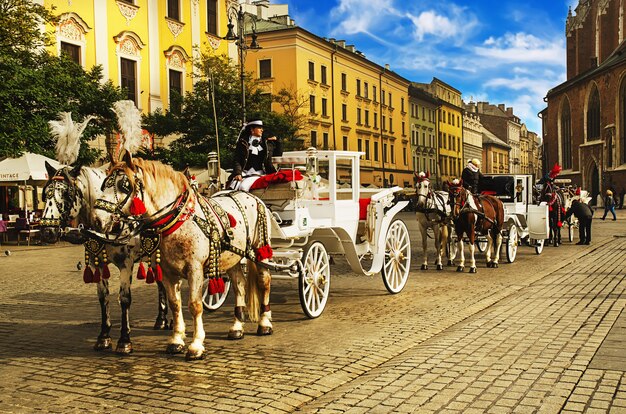 Horse carriages in front of mariacki church on main square of krakow city