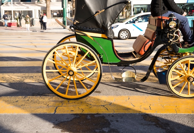 Horse carriages for tourist services on road