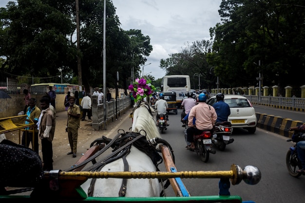 Free photo horse pulling a carriage through the city