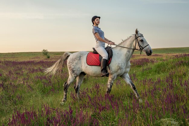 Наездница-жокей в униформе верхом на лошади на открытом воздухе. Закат солнца. Верховая езда. Конкуренция. Хобби