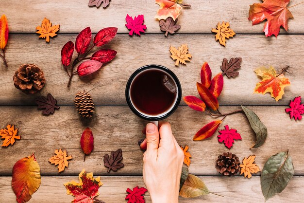 Hot beverage among colourful leaves