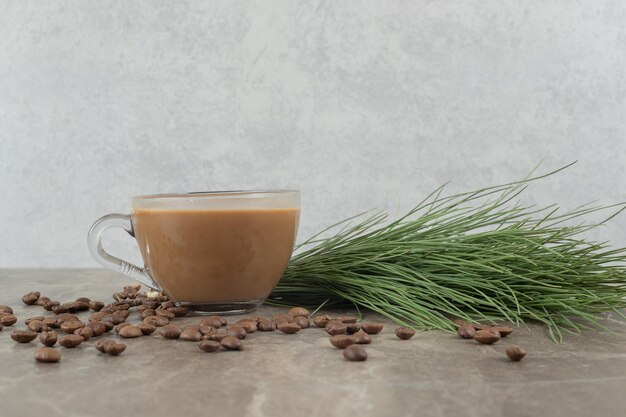 Hot coffee, pine grass and coffee beans on marble table