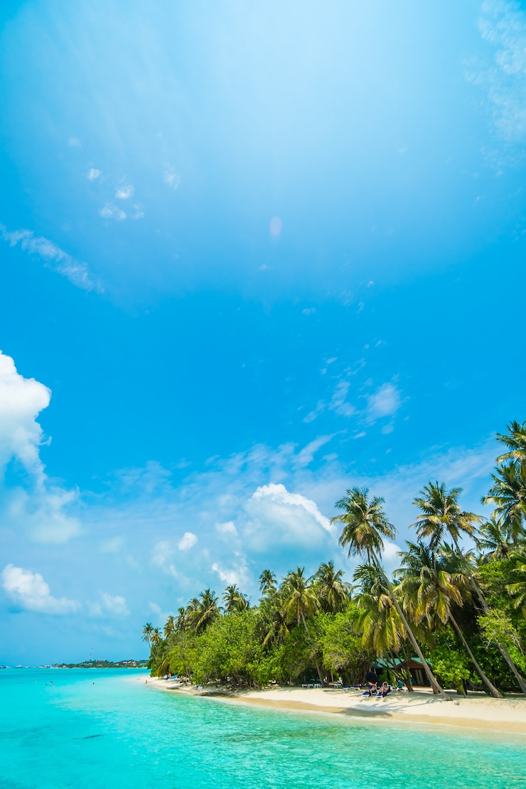 Free Photo hotel male maldives outdoor blue