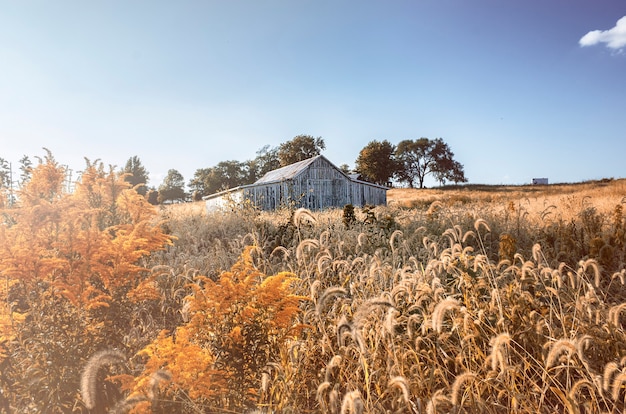 House in the countryside