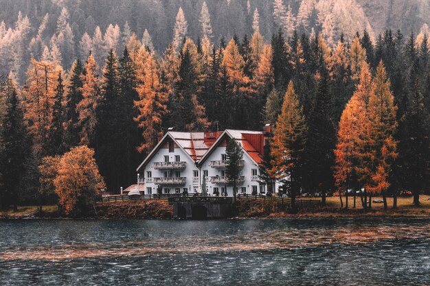 House Near Body of Water and Forest