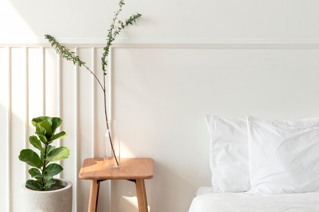 House plants by a mattress on the floor