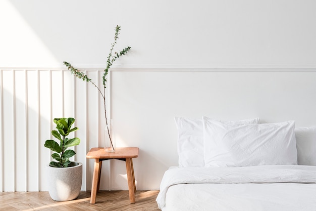 House plants by a mattress on the floor