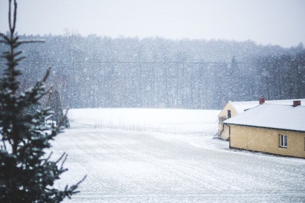 House and snowy field