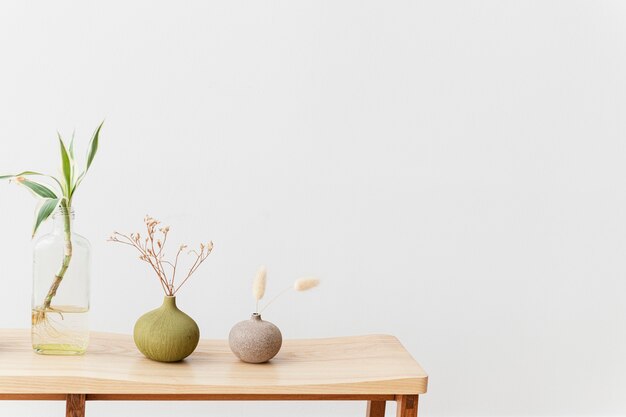 Houseplants on a wooden table