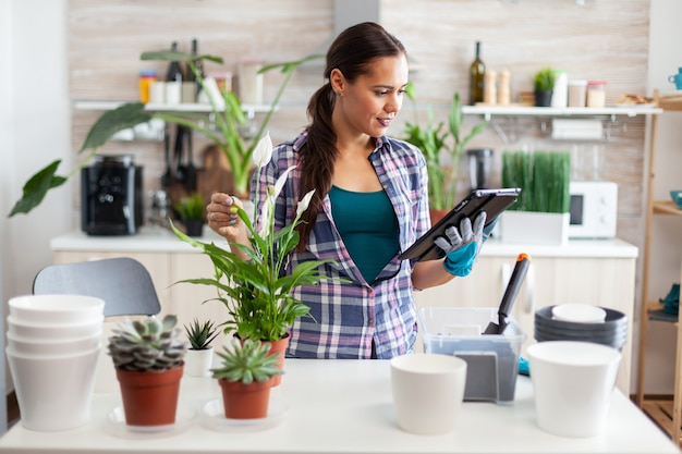 家庭の台所でタブレットPCからの指示に従って花を植え替える主婦