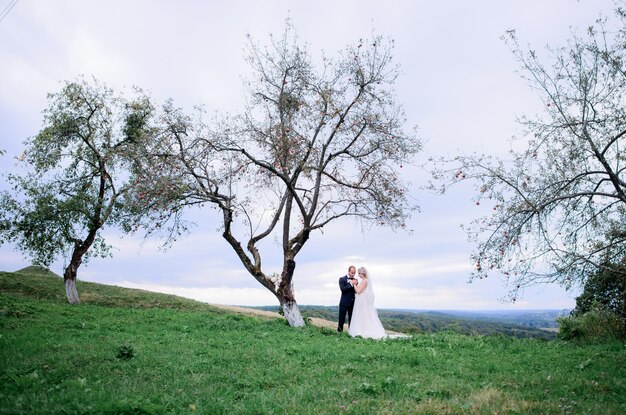 フィールド上の古い木の下に抱擁の結婚式の夫婦が立っている