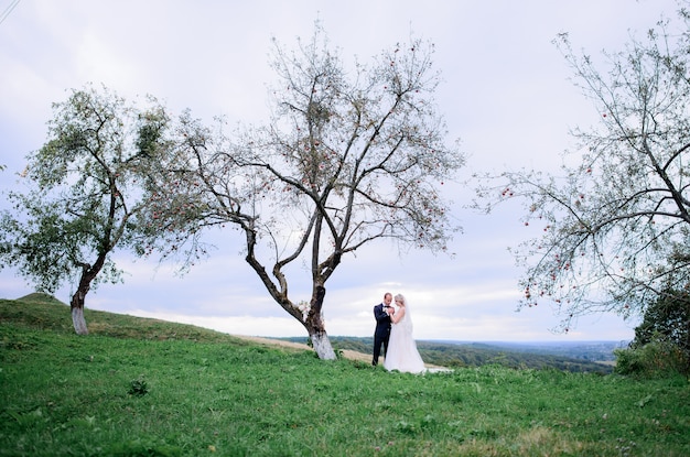 フィールド上の古い木の下に抱擁の結婚式の夫婦が立っている