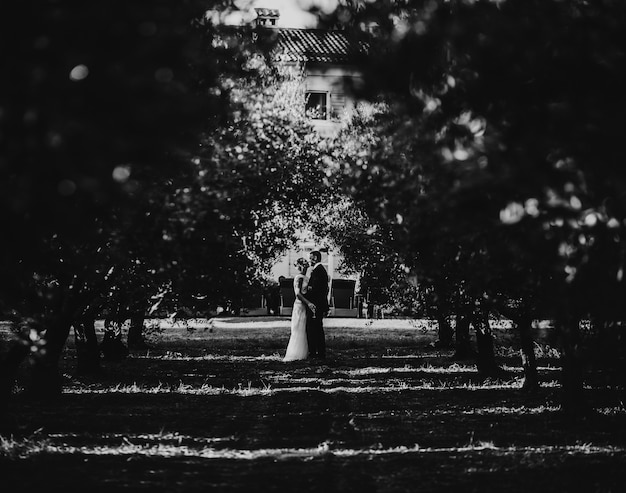 Free photo hugging wedding couple stands on the path between fruit trees in the park