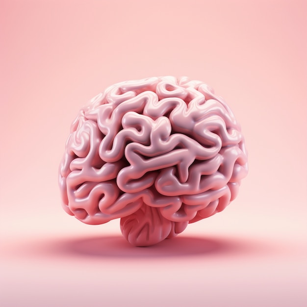 Human brain 3d rendering