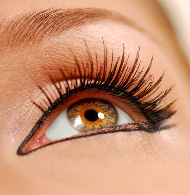 Human female eye. False lashes. Liner.