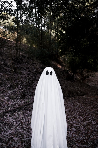 Human in ghost costume standing in park