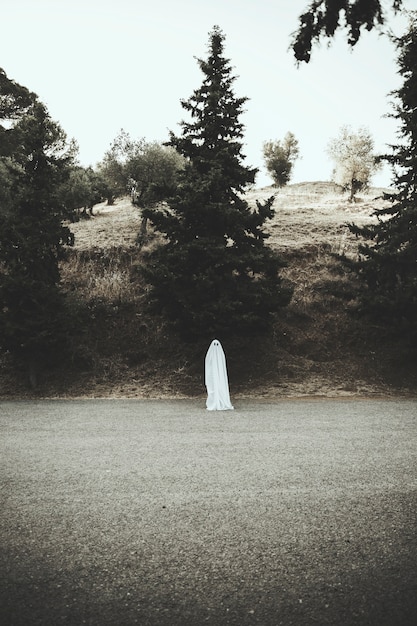 Human in ghost costume standing on road 