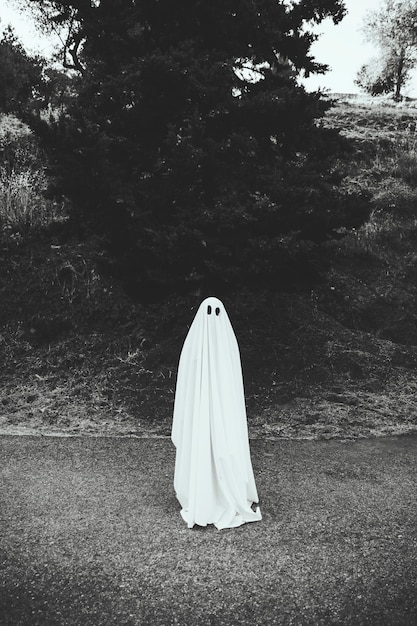 Free photo human in ghost costume standing on road