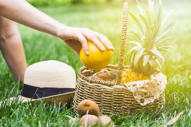 Human hand holding orange fruit with basket and hat on green grass