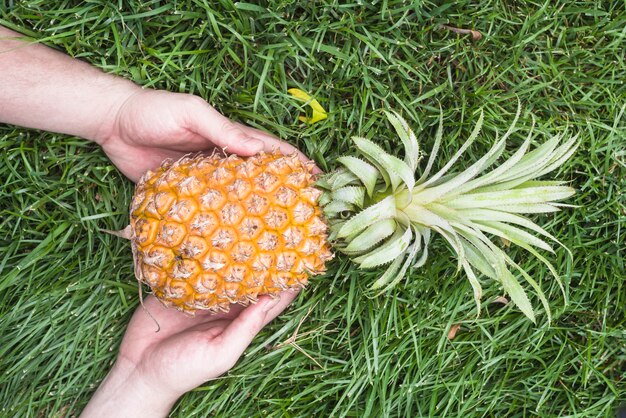 人間の手は緑の草の上にパイナップルを保持