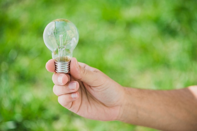 Human hand holding transparent light bulb against green backdrop