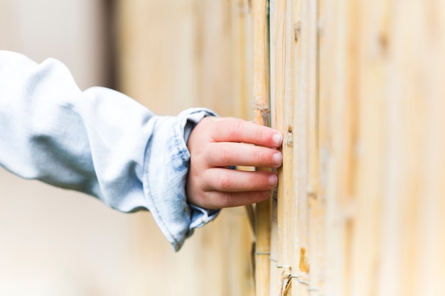 Free photo human hand touching bamboo fence