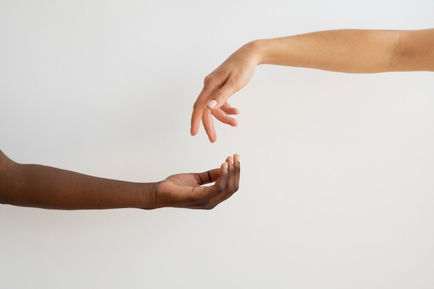 Human hands against white background