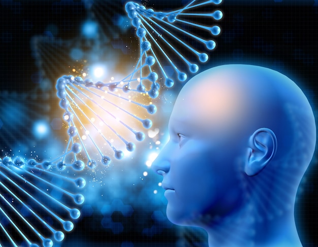 Free photo human head looking dna