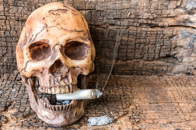 Human skull smoking cigarette with smoke