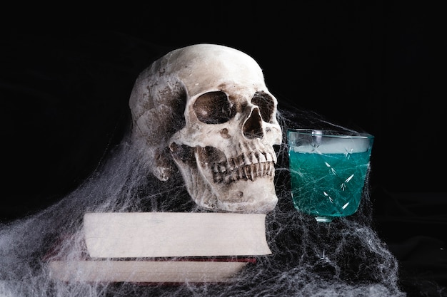 음료와 거미줄 인간의 두개골
