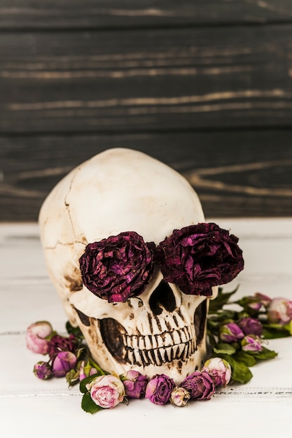 Free photo human skull with roses in eye sockets