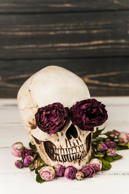 Human skull with roses in eye sockets