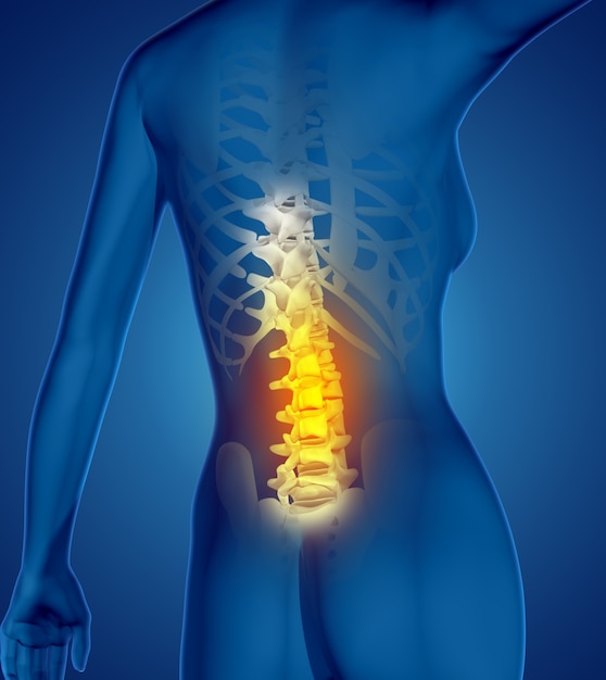 Foto gratuita il rendering 3d di una figura medica femminile con la spina dorsale evidenziata