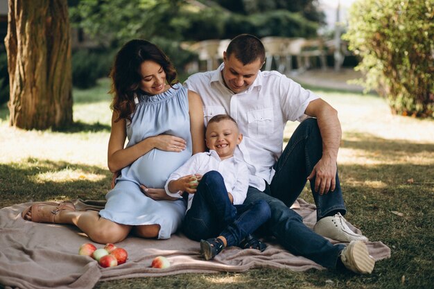 妊娠した妻と息子と夫と公園にピクニックを持つ夫