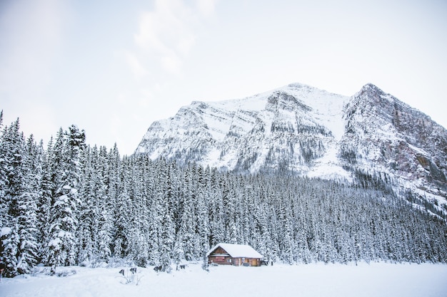 A hut in a snowy field with rocky mountains and a forest