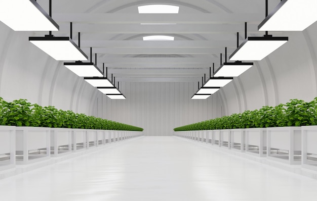 Hydroponic vegetable plant factory in exhibition space warehouse