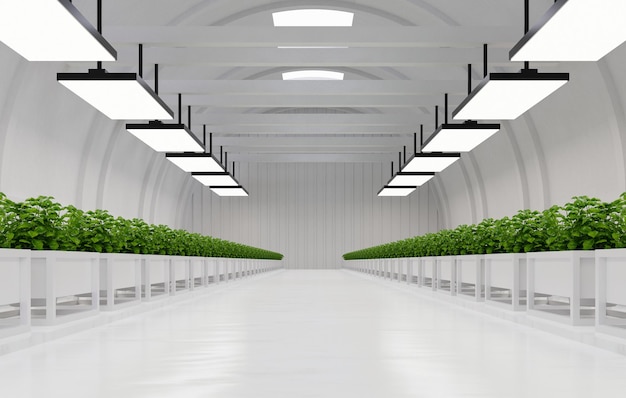 Free photo hydroponic vegetable plant factory in exhibition space warehouse