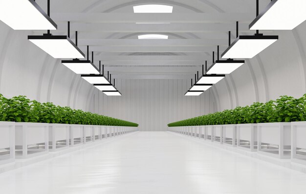 Hydroponic vegetable plant factory in exhibition space warehouse