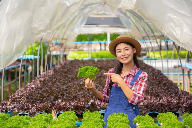 水耕栽培システム、健康のために土壌を使わずに野菜やハーブを植える