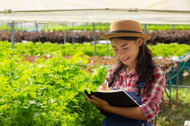 Hydroponics system, planting vegetables and herbs without using soil for health