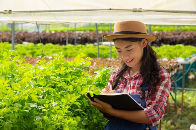 水耕栽培システム、健康のために土壌を使わずに野菜やハーブを植える