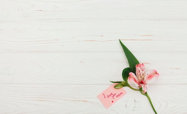 Free photo i love you mom inscription with pink flower