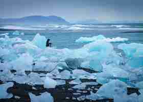 Free photo ice on the coast with a photographer