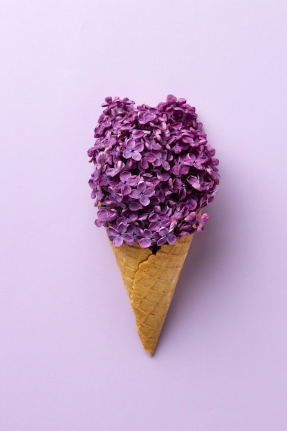 Ice cream cone with flowers on purple background